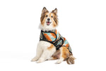 Black Canyon Dog Blanket Coat - large - product front