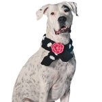Chilly-Dog-Scarf-Flower