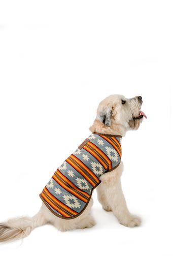 Denim Sunset Blanket Coat by Chilly Dog full LG