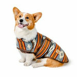 Denim Sunset Dog Blanket Coat