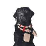 tan plaid scarf